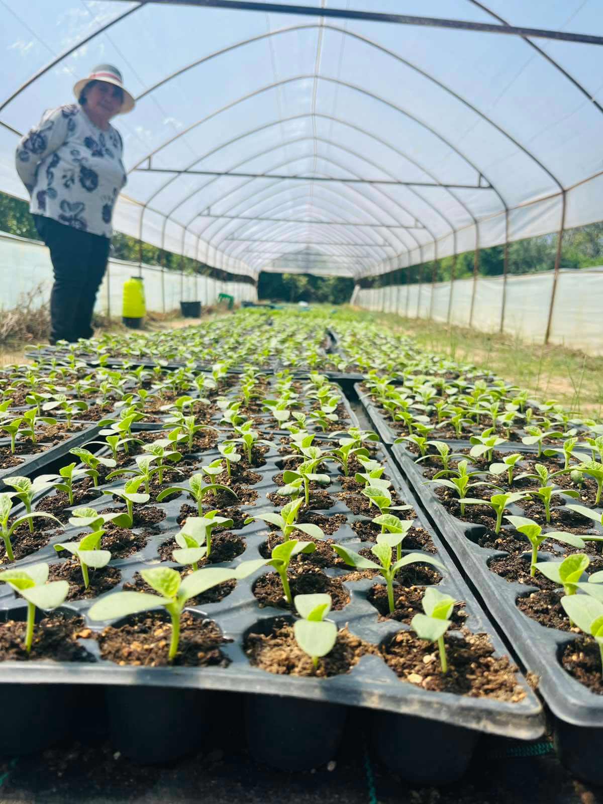 Love for the Process background 2